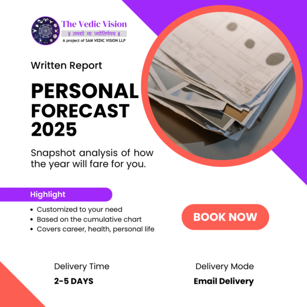 Snapshot Forecast - New Year 2025